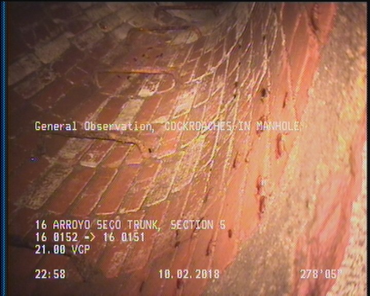 General Observation - COCKROACHES IN MANHOLE