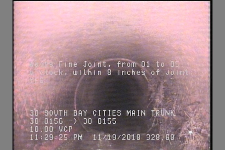 Roots Fine Joint, from 01 to 05 o'clock, within 8 inches of joint: YES