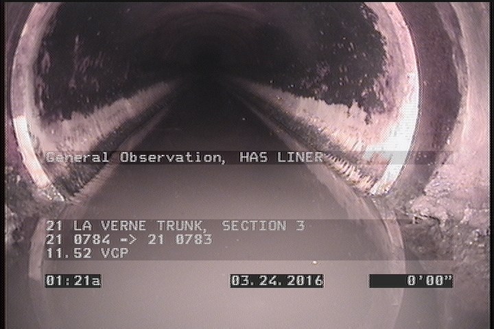 General Observation - HAS LINER