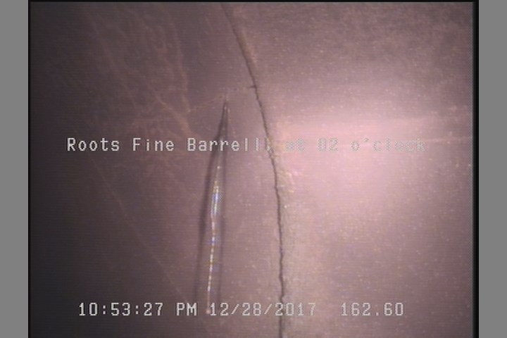 Roots Fine Barrell, at 02 o'clock