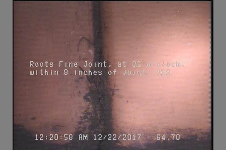 Roots Fine Joint, at 02 o'clock, within 8 inches of joint: YES