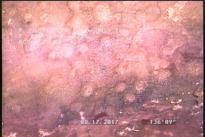 General Observation - POSSILE GREASE BALLS ON PIPE FROM HOT SEWAGE STEAM