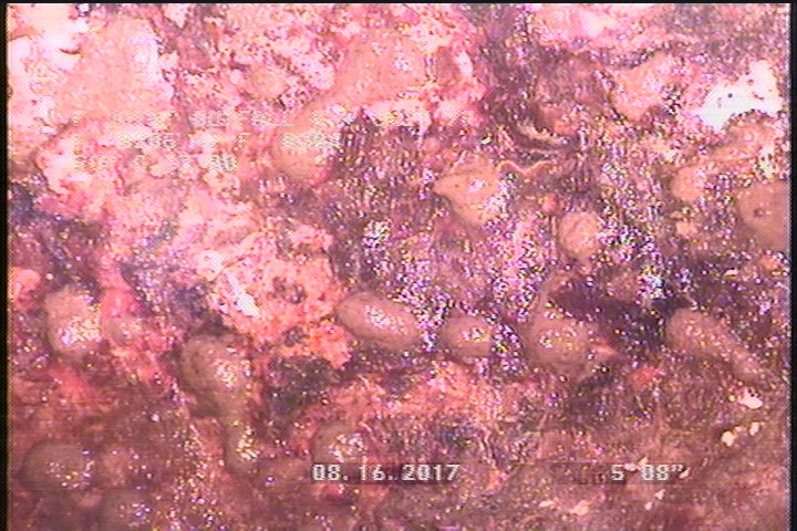 General Observation - POSSIBLE BALLS OF GREASE ON PIPE FROM HEATED OILY SEWAGE