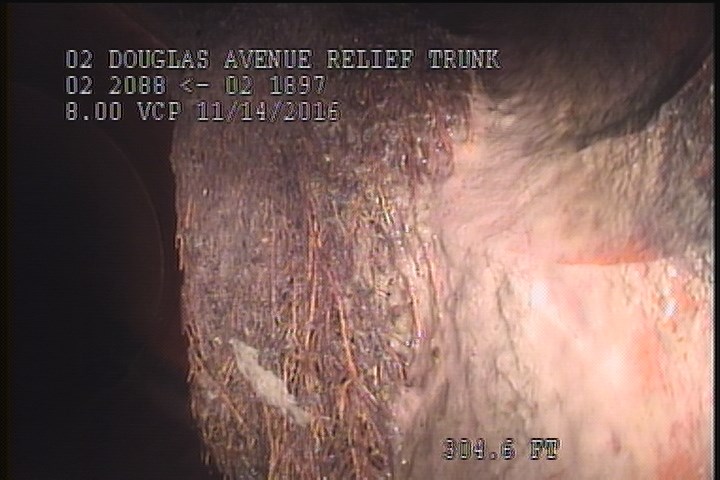 Roots Medium Lateral, from 02 to 04 o'clock, 10 %, within 8 inches of joint: YES
