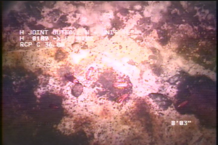 Surface Aggregate Visible, from 08 to 04 o'clock, within 8 inches of joint: YES, Start - SEVERE AGG SPORATIC