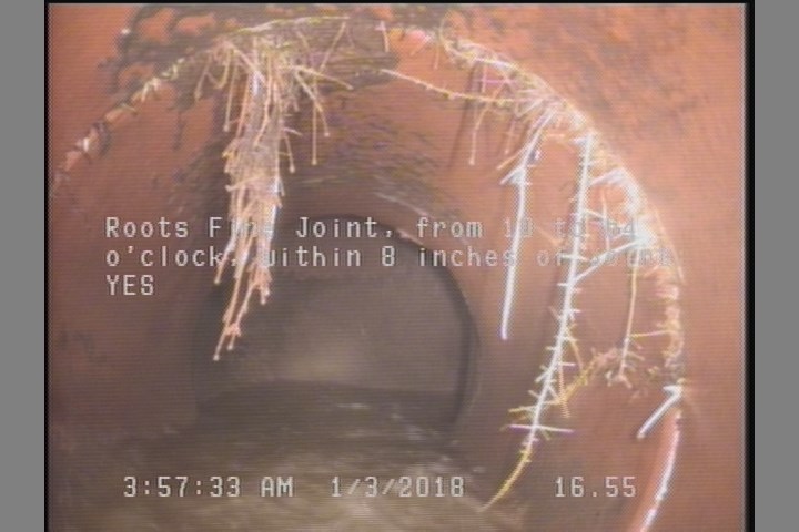 Roots Fine Joint, from 10 to 04 o'clock, within 8 inches of joint: YES