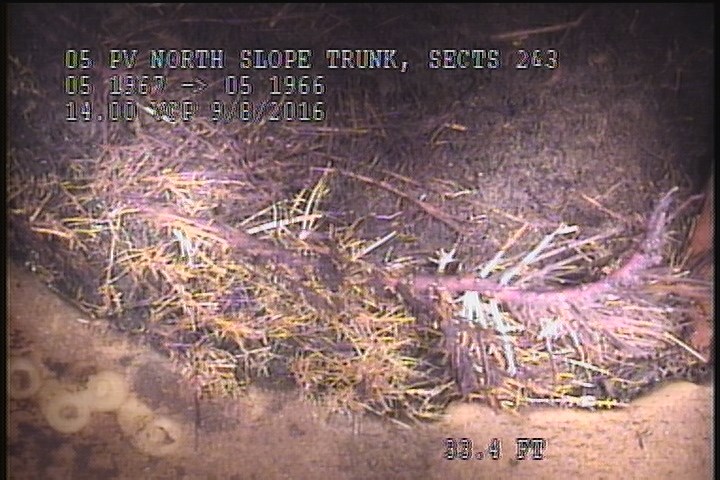 Roots Fine Lateral, at 11 o'clock