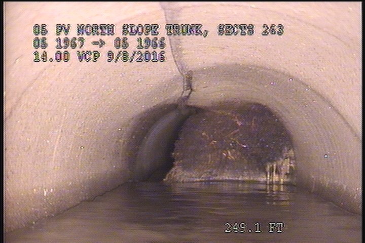 General Observation - ROOT EVALUATION ONLY