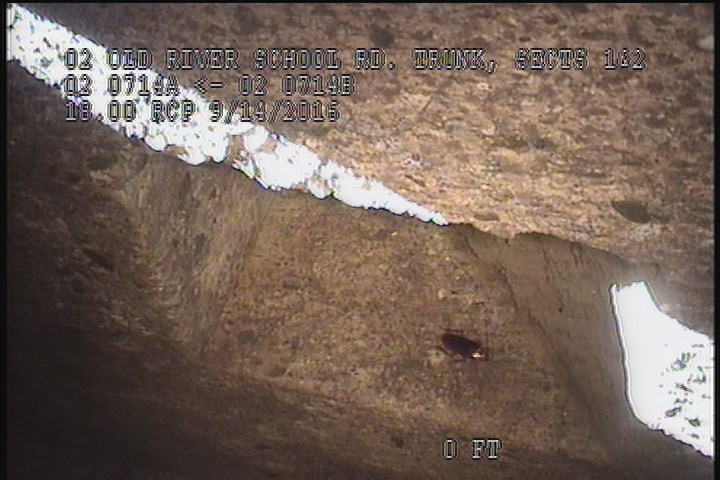 General Observation - SQUARE CUT OUT WITH SOIL VISIBLE