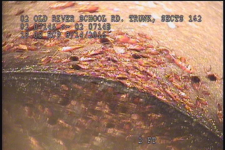Survey Abandoned - VIEW OF THE UPLEG PIPE OF THE D/S SIPHON