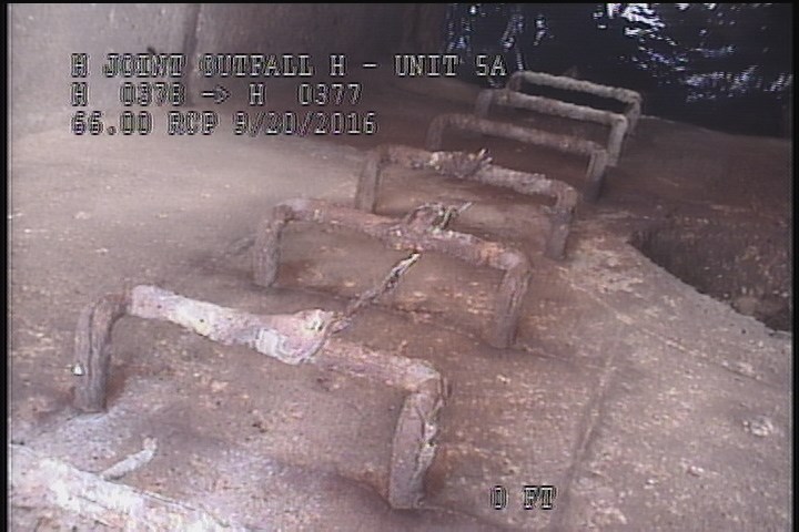 General Observation - STEPS