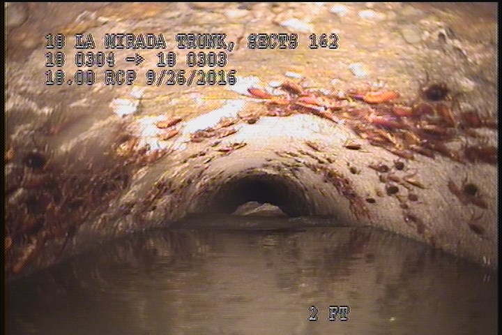 Upstream Manhole, Survey Begins - 12:50 PM, EMERGENCY INSPECTION