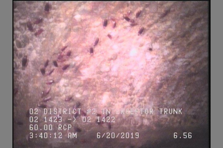 Surface Aggregate Projecting, from 10 to 02 o'clock, within 8 inches of joint: NO