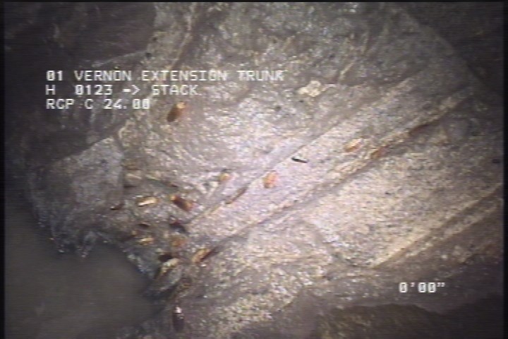 General Observation - NOTCHE DOWNSTREAM LEFT SIDE