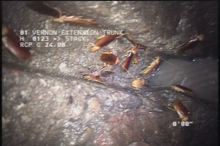 General Observation - NOTCH DOWNSTREAM RIGHT SIDE