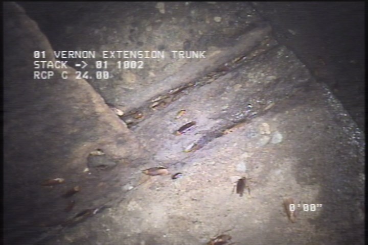 General Observation - STOP LOG RIGHT SIDE