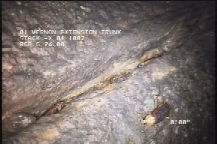 General Observation - STOP LOG LEFT SIDE