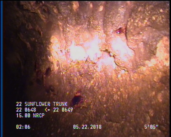 Surface Spalling, from 09 to 03 o'clock, within 8 inches of joint: YES, Start