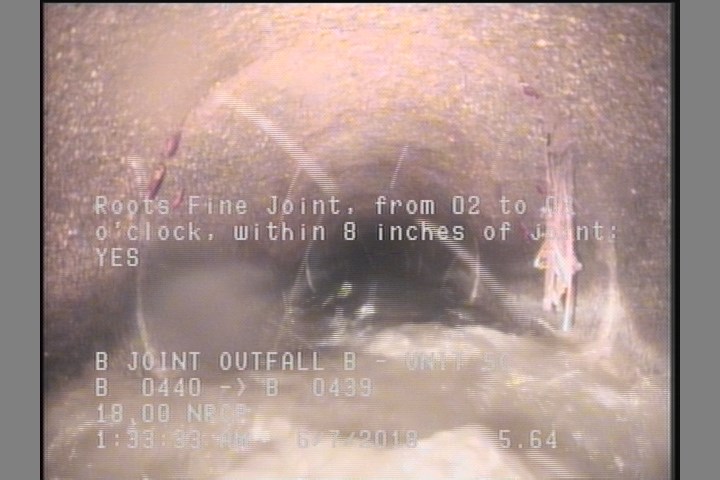 Roots Fine Joint, from 02 to 03 o'clock, within 8 inches of joint: YES