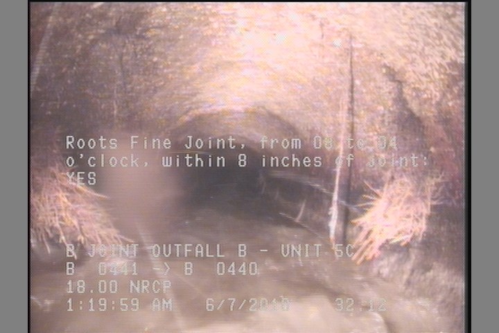 Roots Fine Joint, from 08 to 04 o'clock, within 8 inches of joint: YES