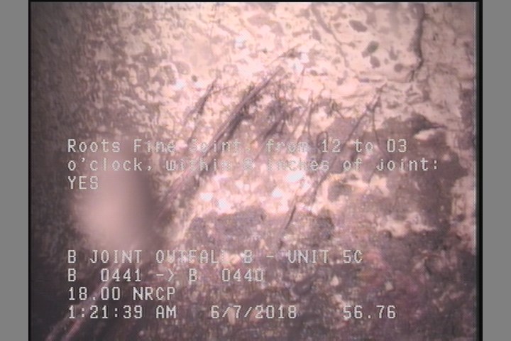 Roots Fine Joint, from 12 to 03 o'clock, within 8 inches of joint: YES