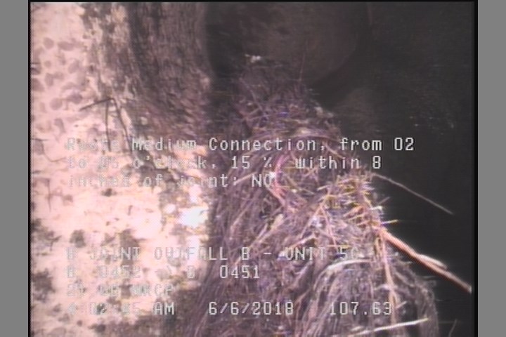 Roots Medium Connection, from 02 to 05 o'clock, 15 %, within 8 inches of joint: NO