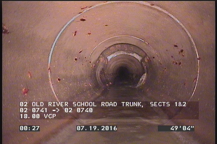 Vermin Cockroach