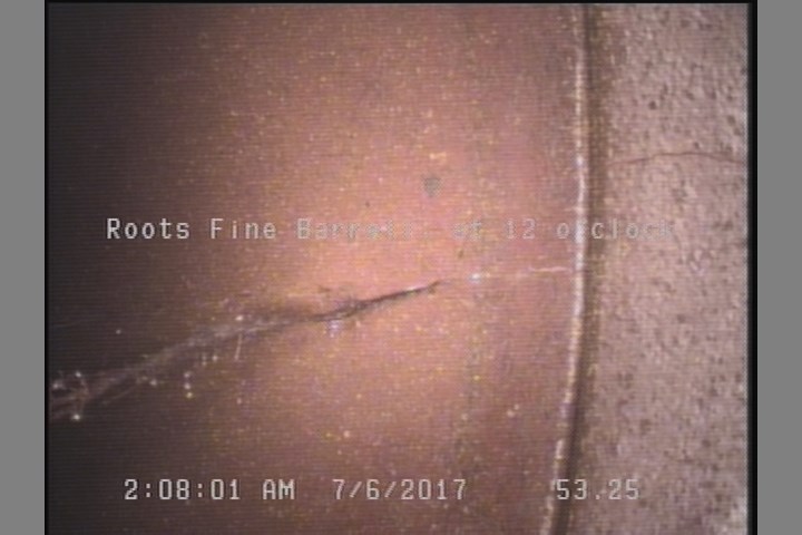 Roots Fine Barrell, at 12 o'clock
