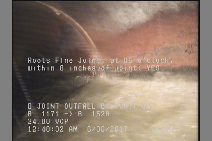 Roots Fine Joint, at 05 o'clock, within 8 inches of joint: YES