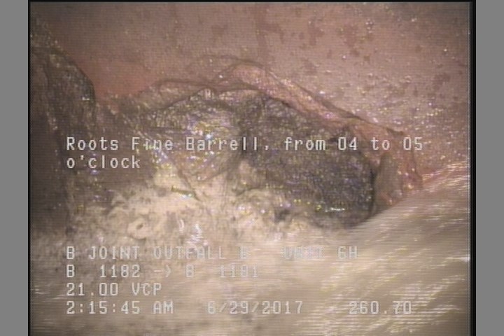 Roots Fine Barrell, from 04 to 05 o'clock
