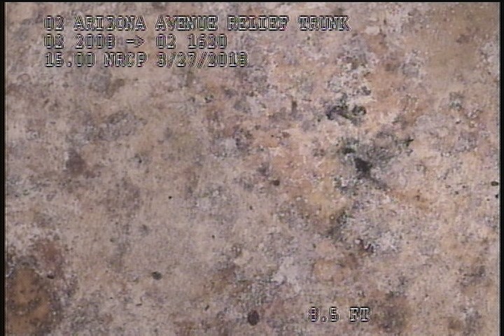 General Observation - WHITE COATING