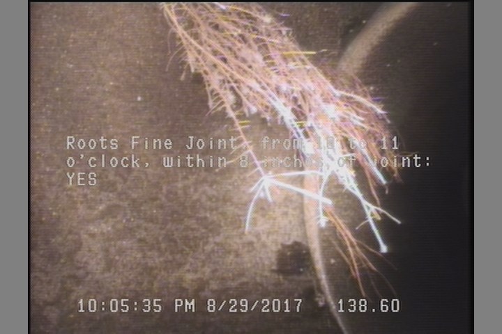 Roots Fine Joint, from 10 to 11 o'clock, within 8 inches of joint: YES