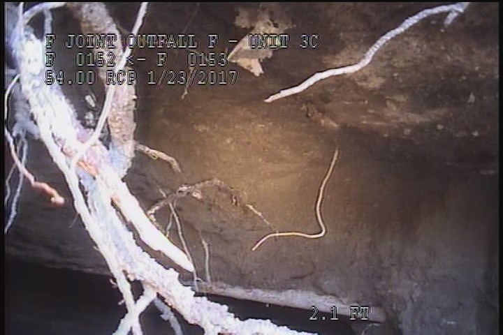 General Observation - DIRT UNDERNEATH THE SIDEWALK