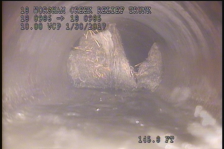 Roots Ball Joint, from 02 to 11 o'clock, 70 %, within 8 inches of joint: YESR