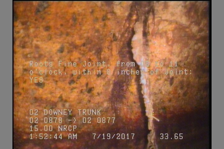 Roots Fine Joint, from 08 to 11 o'clock, within 8 inches of joint: YES