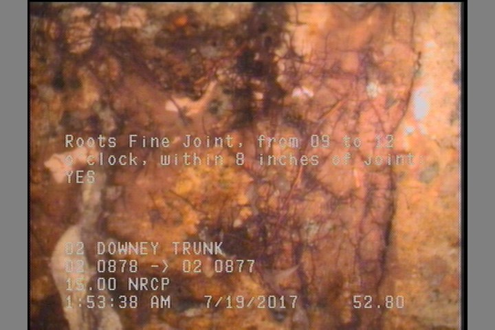Roots Fine Joint, from 09 to 12 o'clock, within 8 inches of joint: YES