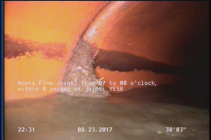 Roots Fine Joint, from 07 to 08 o'clock, within 8 inches of joint: YESR - 5%