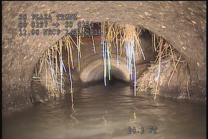 General Observation - ROOTS INSIDE THE MH. STACK