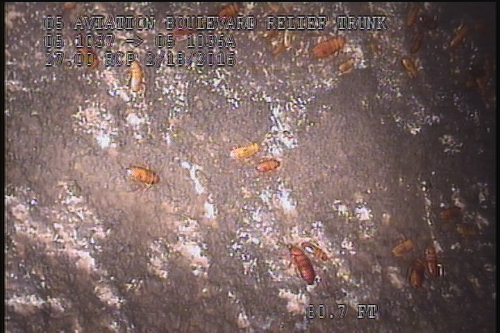 Surface Spalling, from 08 to 04 o'clock, within 8 inches of joint: YES - SWOLLEN LAITANCE COAT