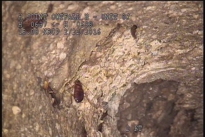 Surface Missing Wall, at 12 o'clock, within 8 inches of joint: YES