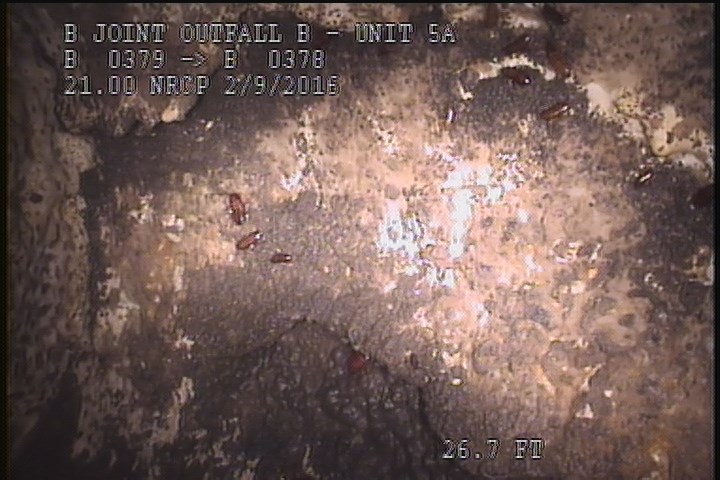 Surface Spalling, from 12 to 03 o'clock, within 8 inches of joint: YES - PEELING LAITANCE COAT