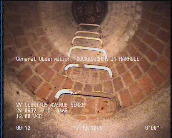 General Observation - COCKROACHES IN MANHOLE