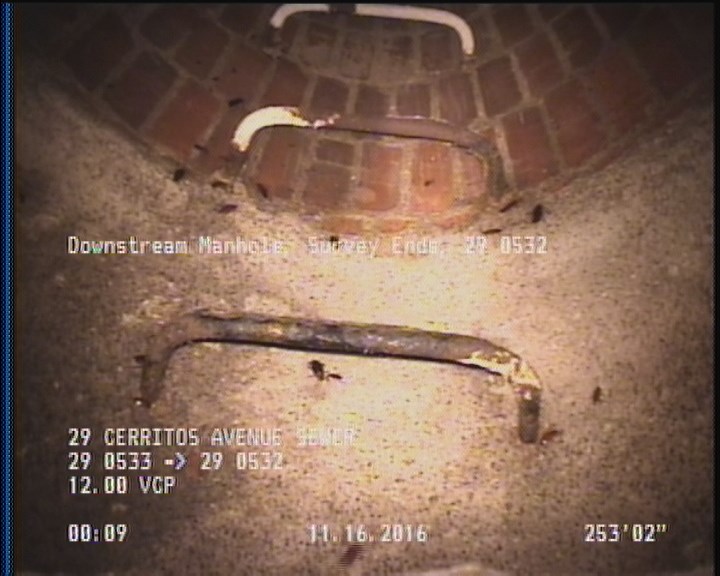 General Observation - COCKROACHES IN MANHOLE