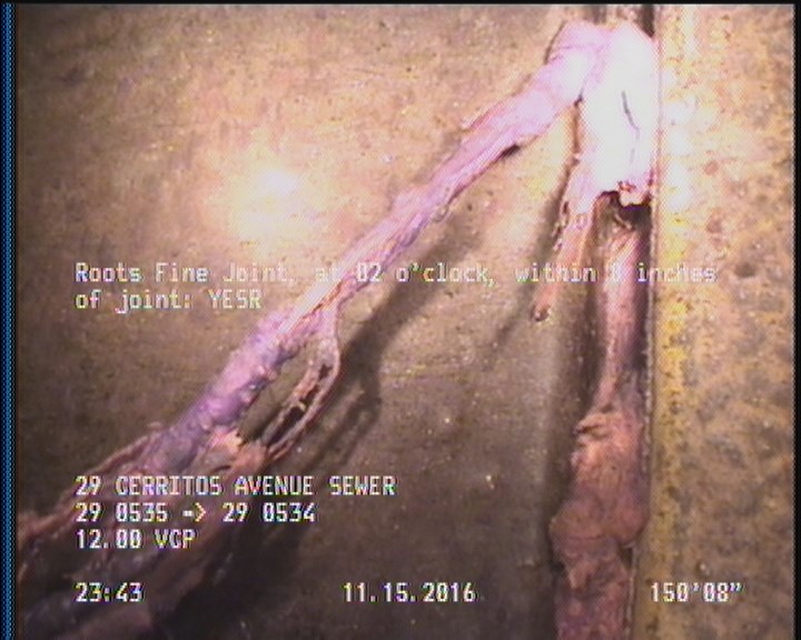 Roots Fine Joint, at 02 o'clock, within 8 inches of joint: YESR
