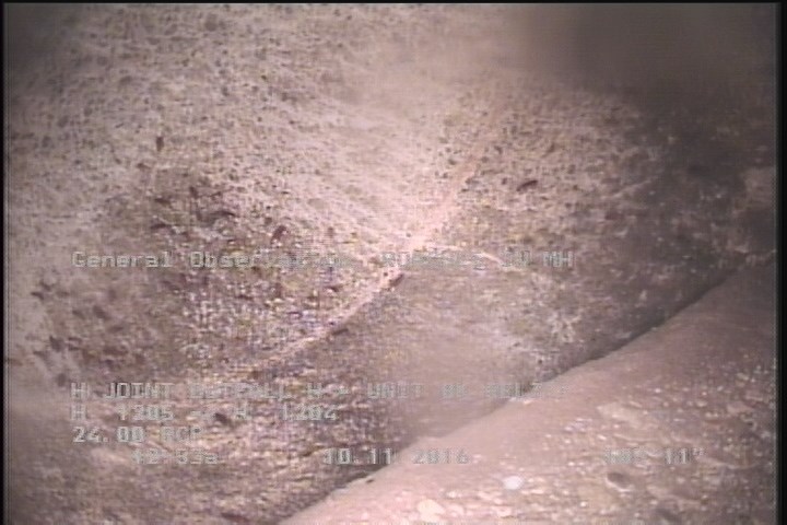 General Observation - ROACHES IN MH