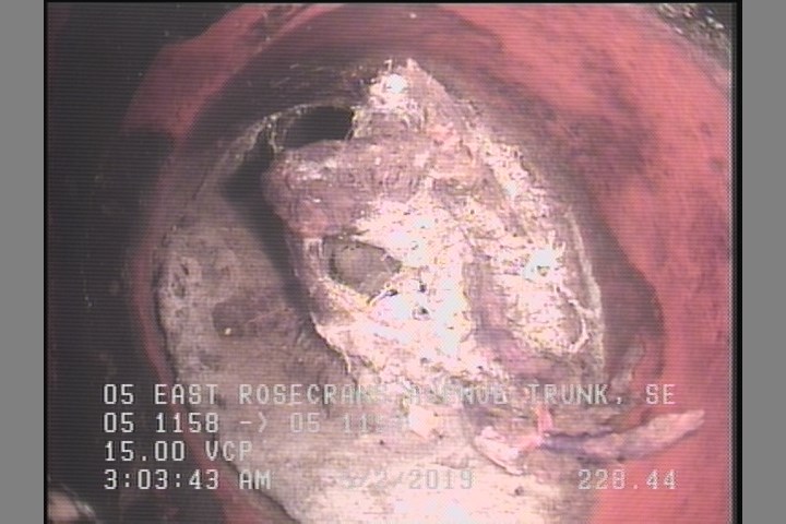 Roots Ball Lateral, at 10 o'clock, 75 %