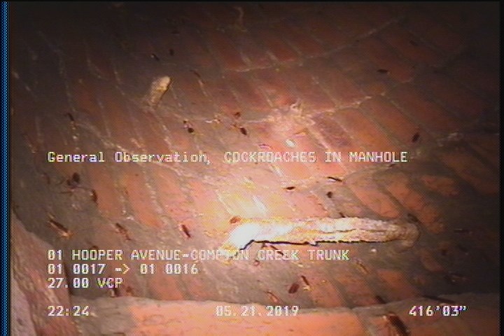 General Observation - COCKROACHES IN MANHOLE