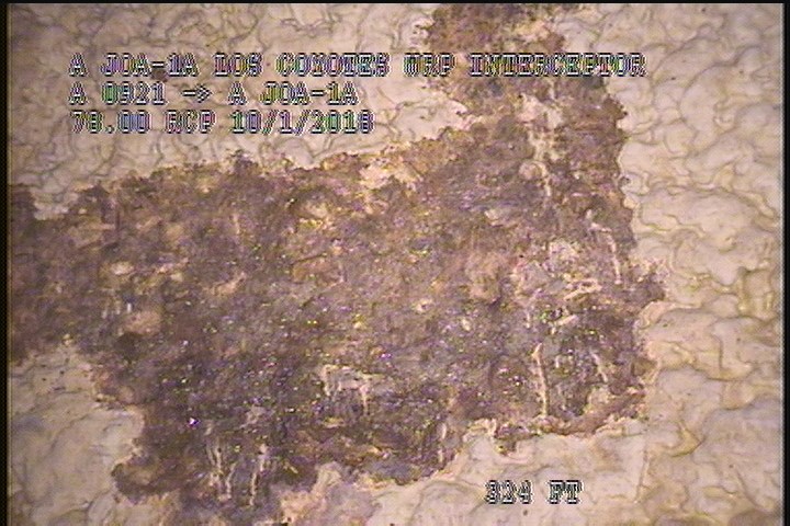 General Photograph