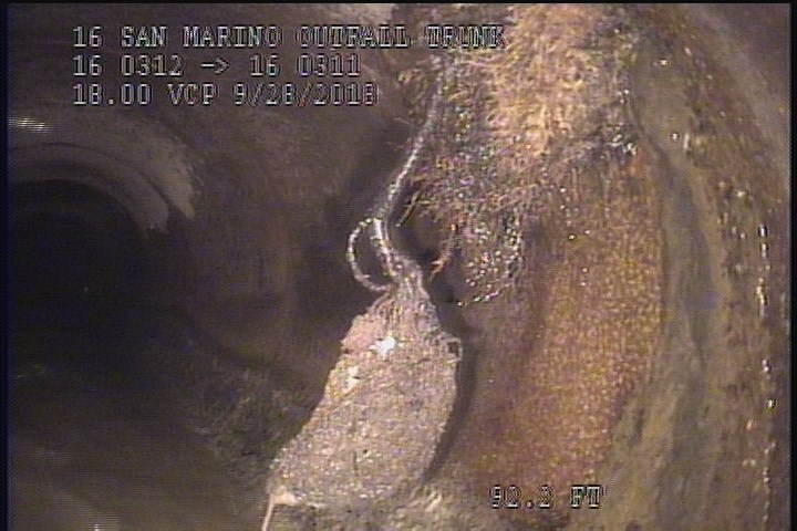 Roots Medium Lateral, from 01 to 05 o'clock, 20 %, within 8 inches of joint: YES