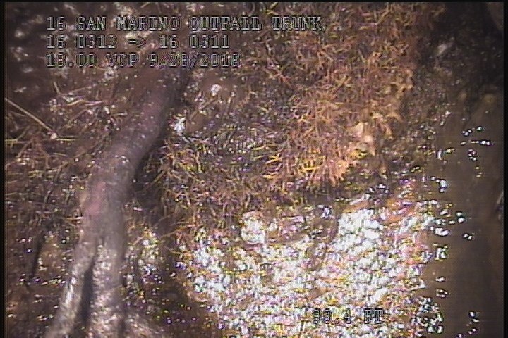 Tap Factory Made Defective, at 02 o'clock, -, within 8 inches of joint: YES, 6" - Active-95% ROOTS